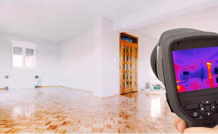 Thermal imaging for termite detection