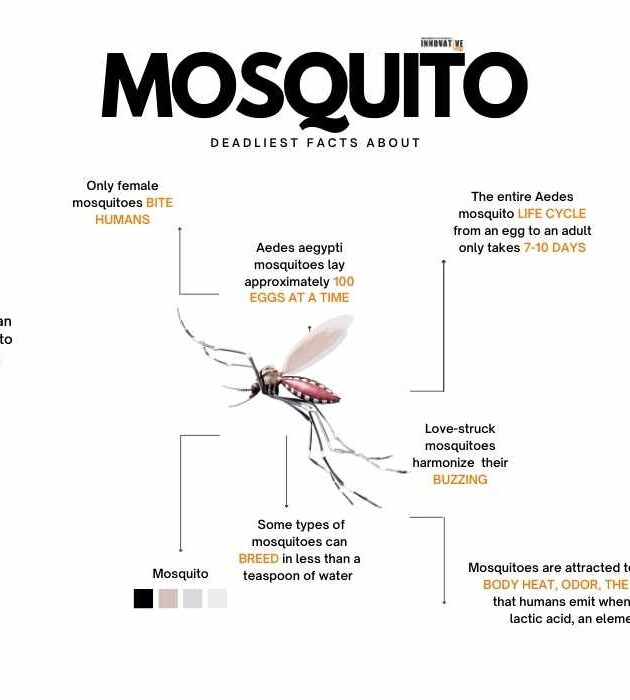 Fact about Mosquito