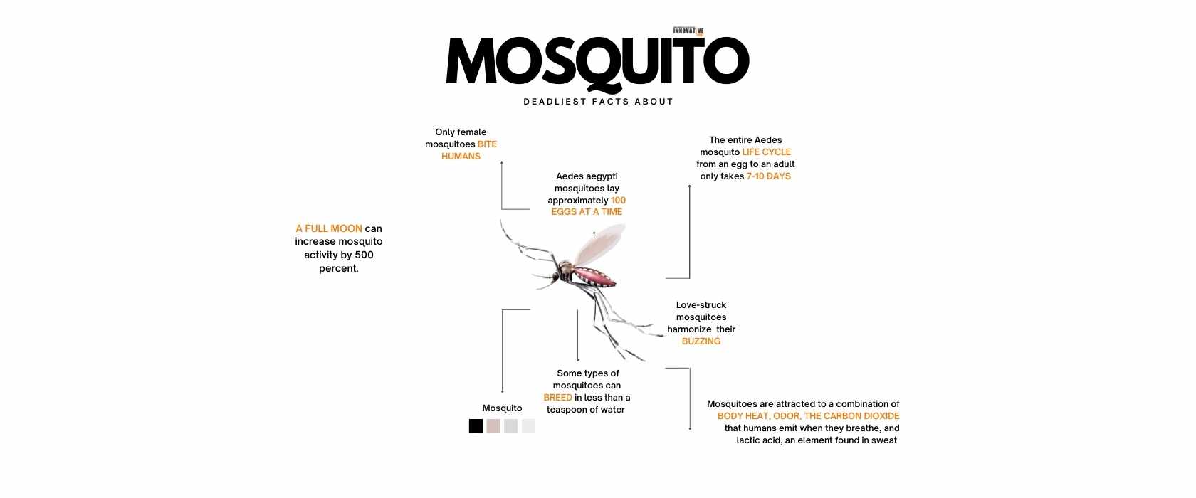 Fact about Mosquito