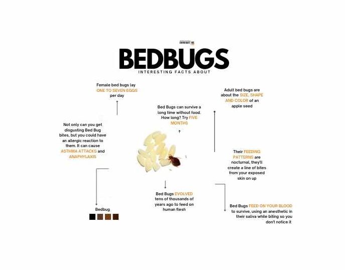 Fact about Bed bug