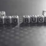 4 Steps to Get Rid of Bed Bug