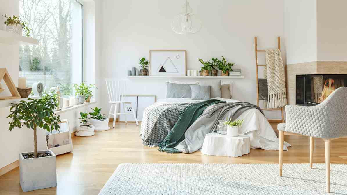 Rid of Bed Bugs with Treatment Solution