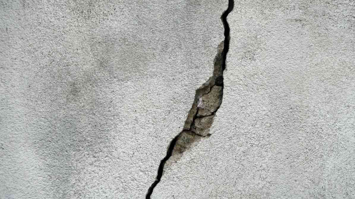 Fix Wall Crack to Prevent Pest