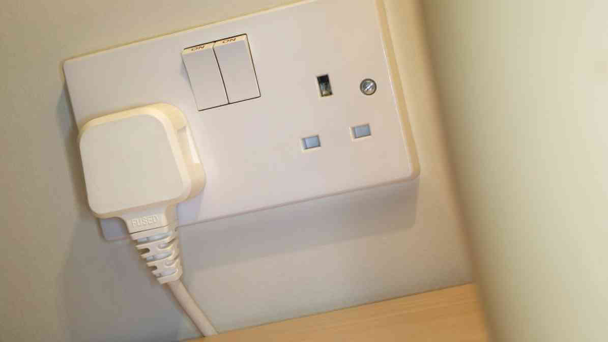 Bedbug in Electric Outlets