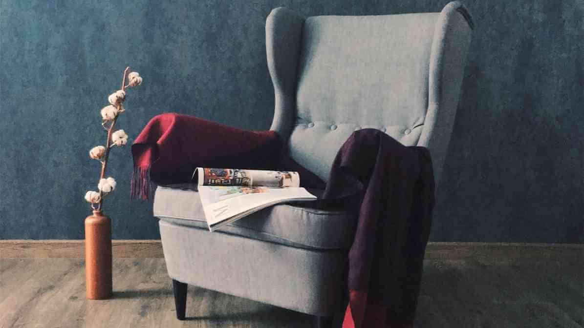 Bedbug in Upholstered Furniture