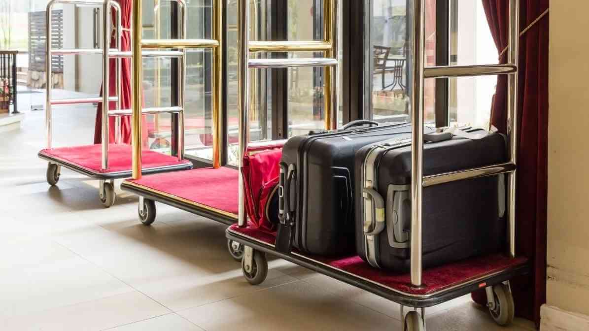 Bedbugs - Luggage Stand