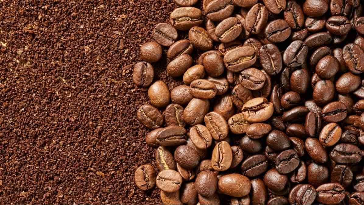 Natural Ant Repellent and Home Remedies - Coffee Ground