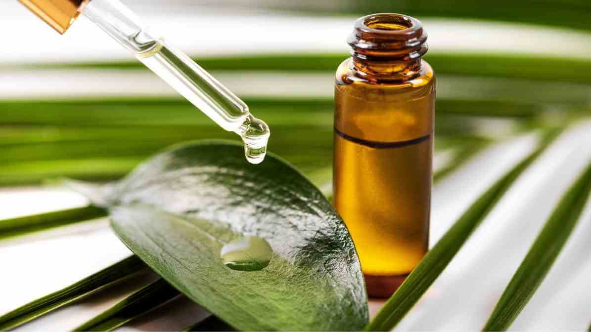 Natural Ant Repellent and Home Remedies - Tea Tree Oil