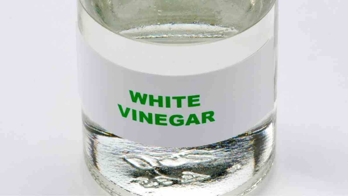 Natural Ant Repellent and Home Remedies - Vinegar and Water