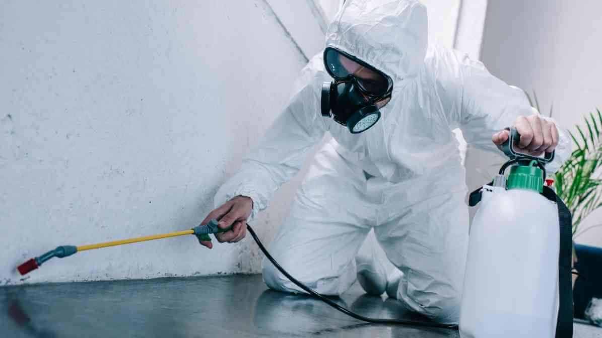 Professional from Innovative Pest Control Services for Persistent Issues - Innovative Pest Pte Ltd Professional from Innovative Pest Control Services for Persistent Issues