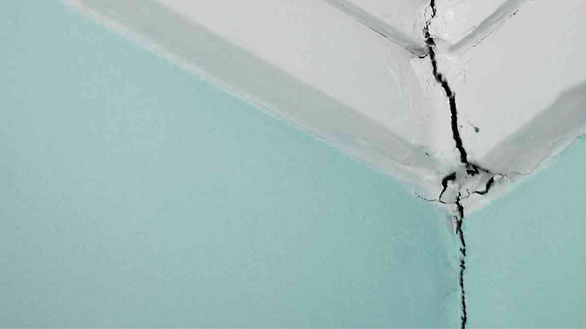 What Causes Bedbugs - Cracks and Crevices