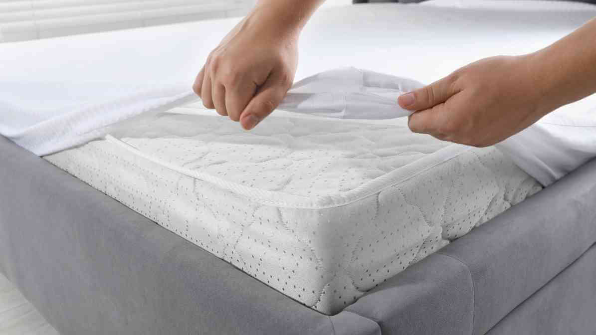 What Causes Bedbugs - Importance of Encasement