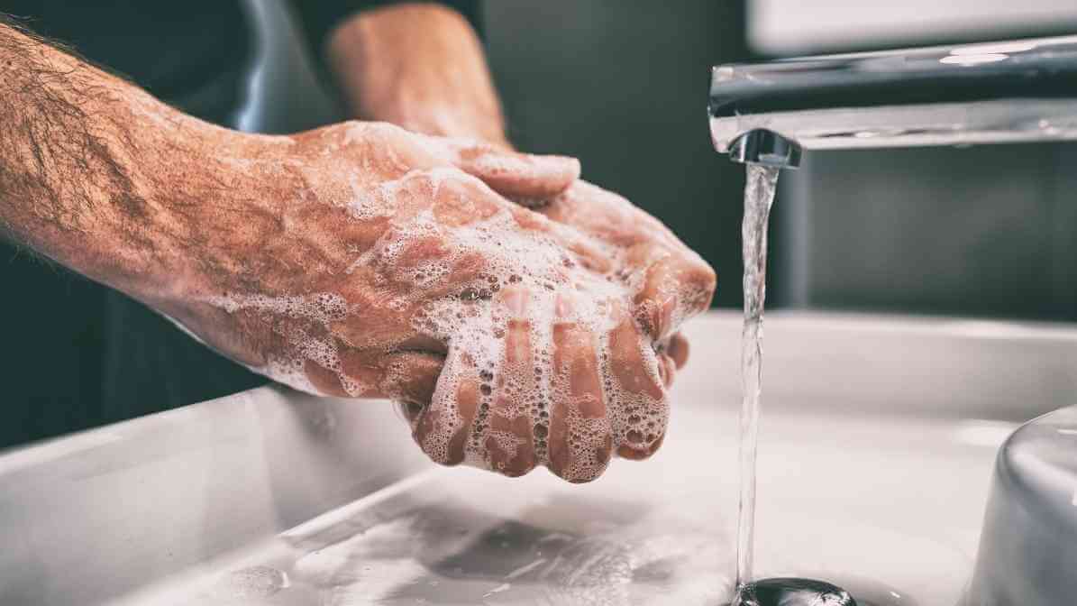 How to Get Rid of Cockroaches - Sanitation