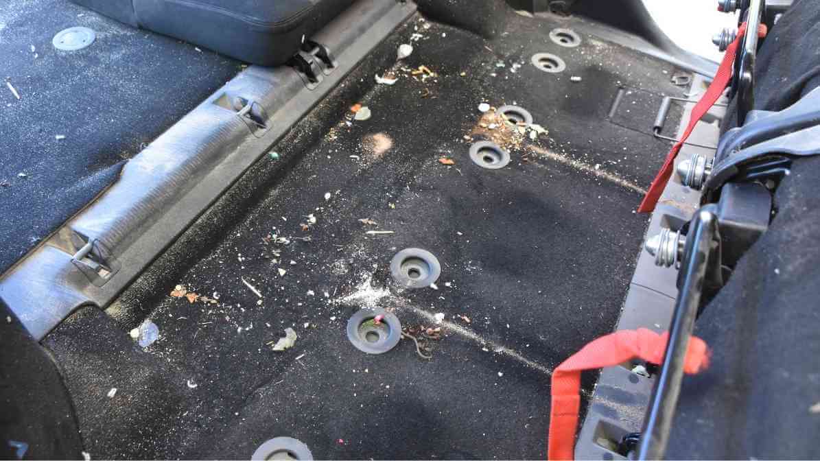 Infestation of Cockroach in Cars Singapore - Crumbs in Car