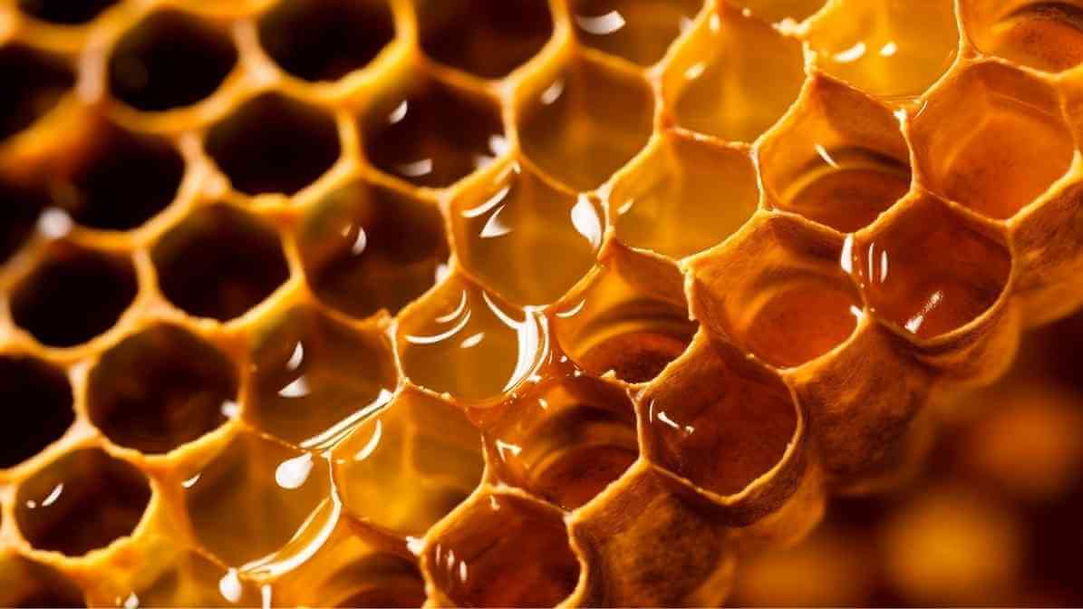 Introducing The Busy Bee to Singapore Modern Living - Urban Pollination - Innovative Pest Pte Ltd Introducing The Busy Bee to Singapore Modern Living - Urban Pollination