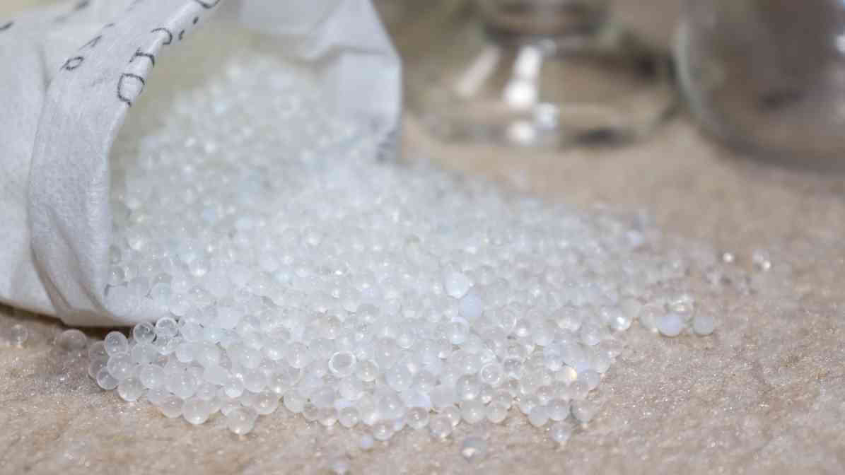 Powerful Booklice Pest Control Techniques for Your Property - Silica Aerogel