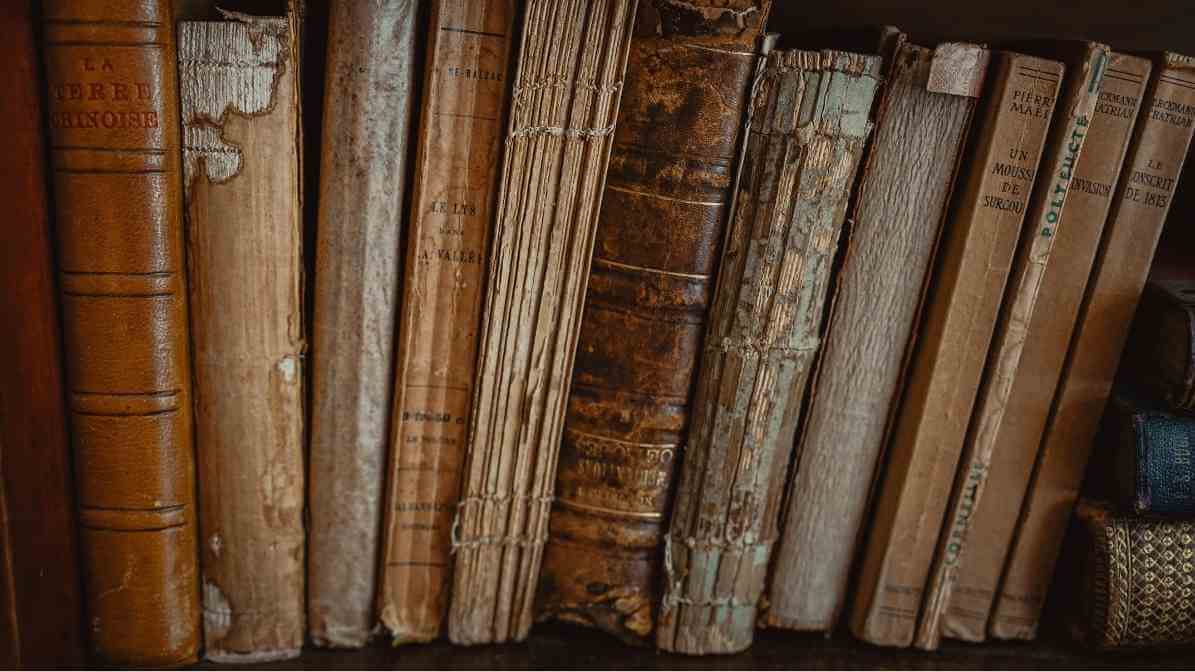 Powerful Booklice Pest Control Techniques for Your Property - Tiny Insect Crawling on Books