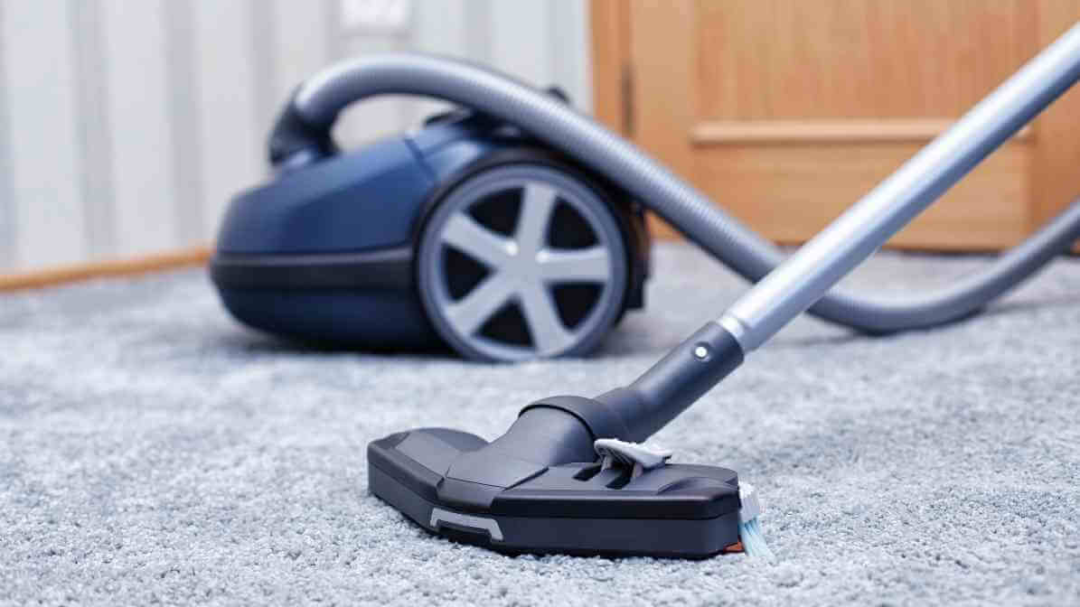 Powerful Booklice Pest Control Techniques for Your Property - Vacuum Regularly