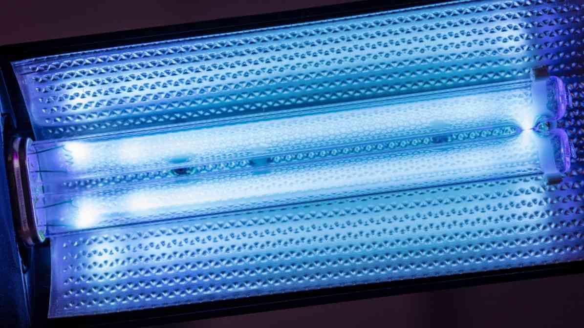 10 Diseases Spread by Housefly - InnoFly UV Light Traps