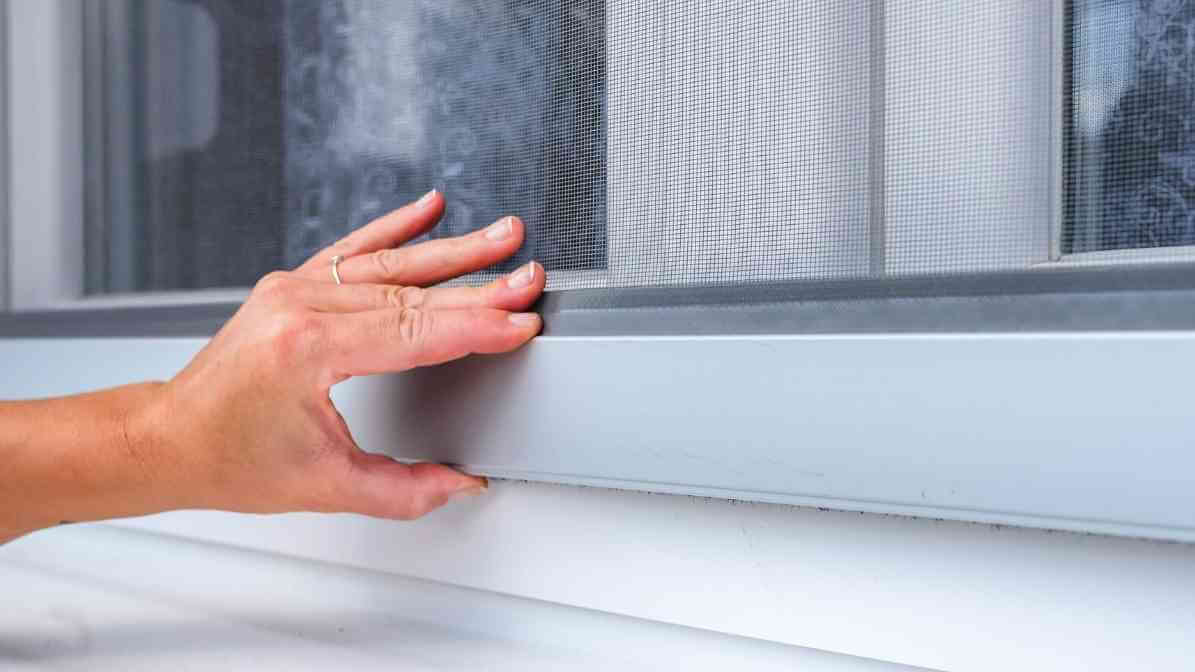 10 Diseases Spread by Housefly - Install Window Screen