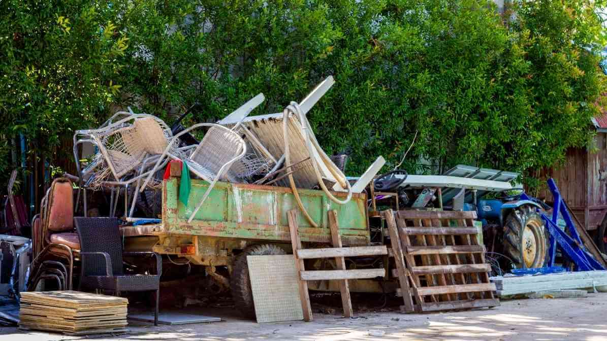 5 Steps for Rodent Control in Restaurant - Clutter Control - Innovative Pest Pte Ltd 5 Steps for Rodent Control in Restaurant - Clutter Control