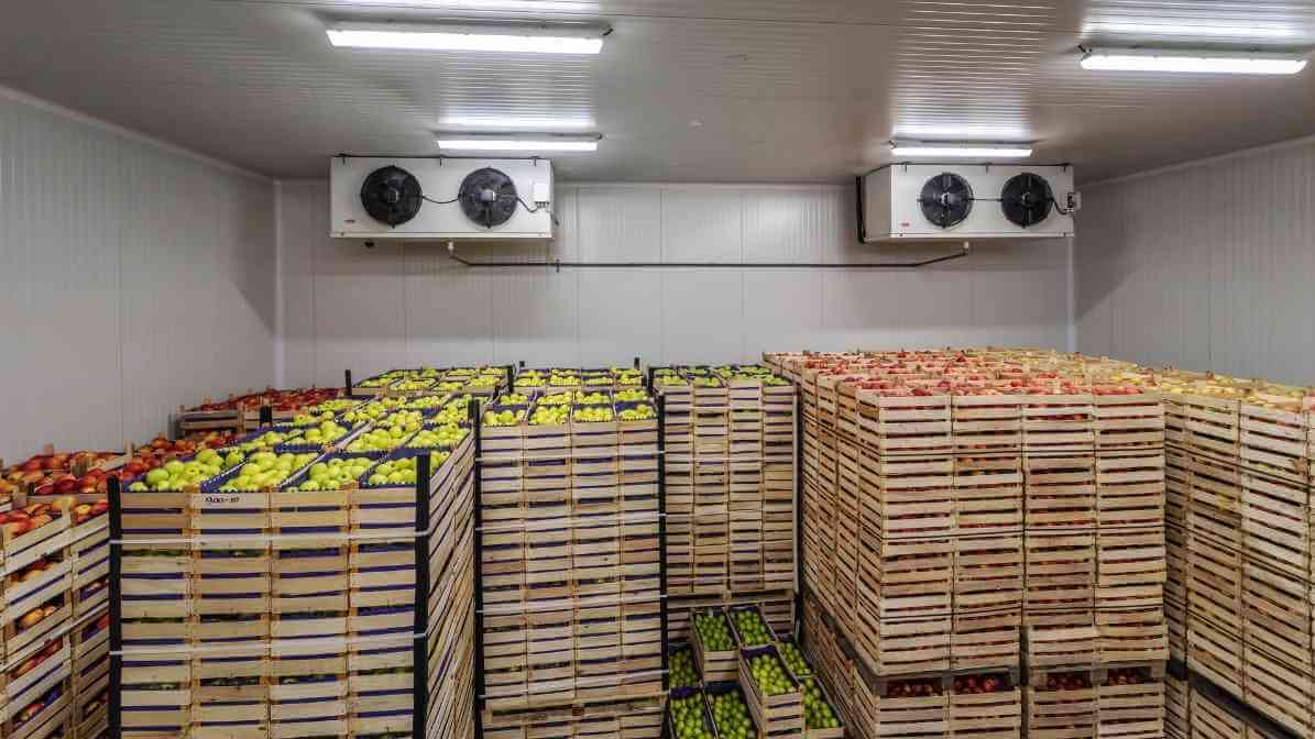 6 Ways to Get Rid of Rats Infestation in Restaurant - Food Storage - Innovative Pest Pte Ltd 6 Ways to Get Rid of Rats Infestation in Restaurant - Food Storage