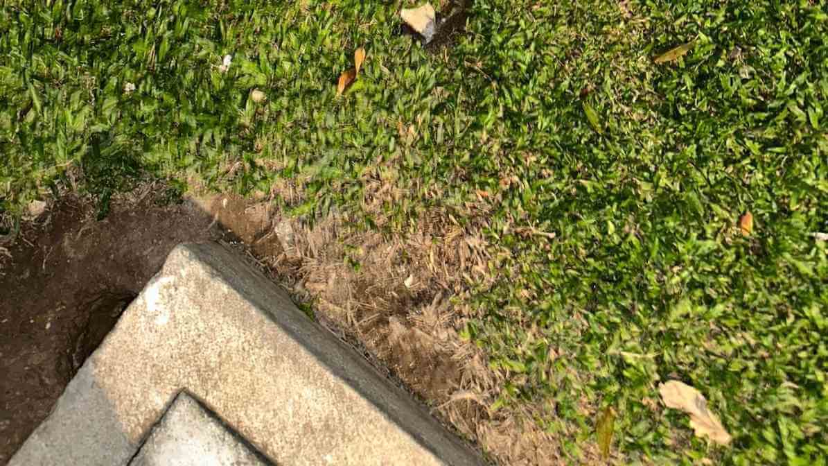 6 Ways to Get Rid of Rats Infestation in Restaurant - Regular Inspection - Innovative Pest Pte Ltd 6 Ways to Get Rid of Rats Infestation in Restaurant - Regular Inspection