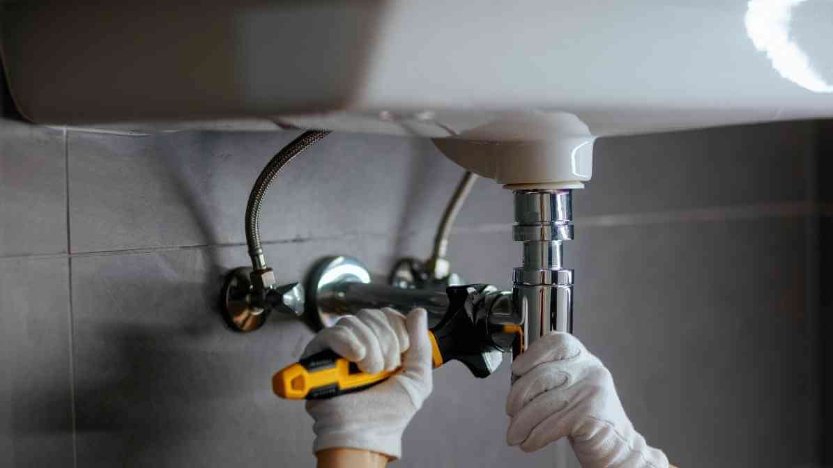 6 Ways to Get Rid of Rats Infestation in Restaurant - Repair and Maintenance - Innovative Pest Pte Ltd 6 Ways to Get Rid of Rats Infestation in Restaurant - Repair and Maintenance