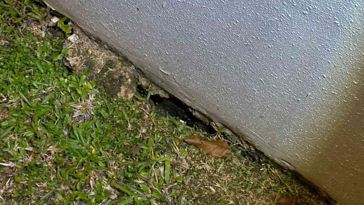 6 Ways to Get Rid of Rats Infestation in Restaurant - Thorough Inspection - Innovative Pest Pte Ltd 6 Ways to Get Rid of Rats Infestation in Restaurant - Thorough Inspection