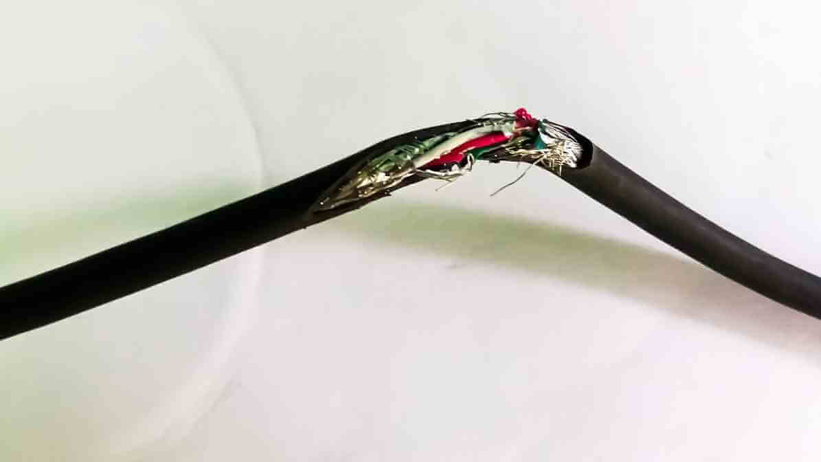 Commercial Rodent Control for Supermarkets Rodent Activity - Chewing Wire Causing Fire