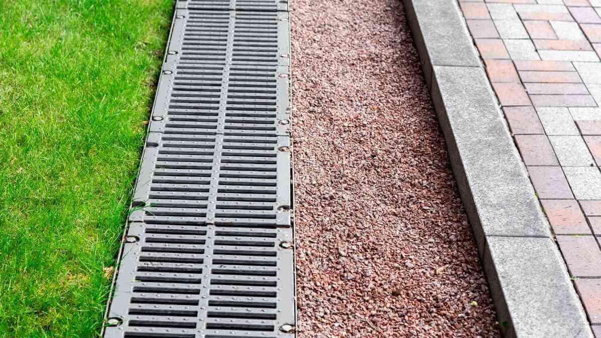 Commercial Rodent Control for Supermarkets Rodent Activity - Prevent Standing Water