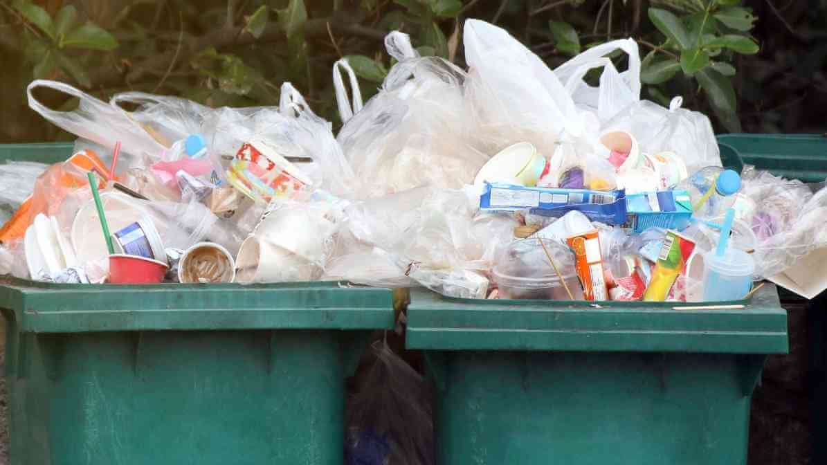 Commercial Rodent Control for Supermarkets Rodent Activity - Proper Trash Management