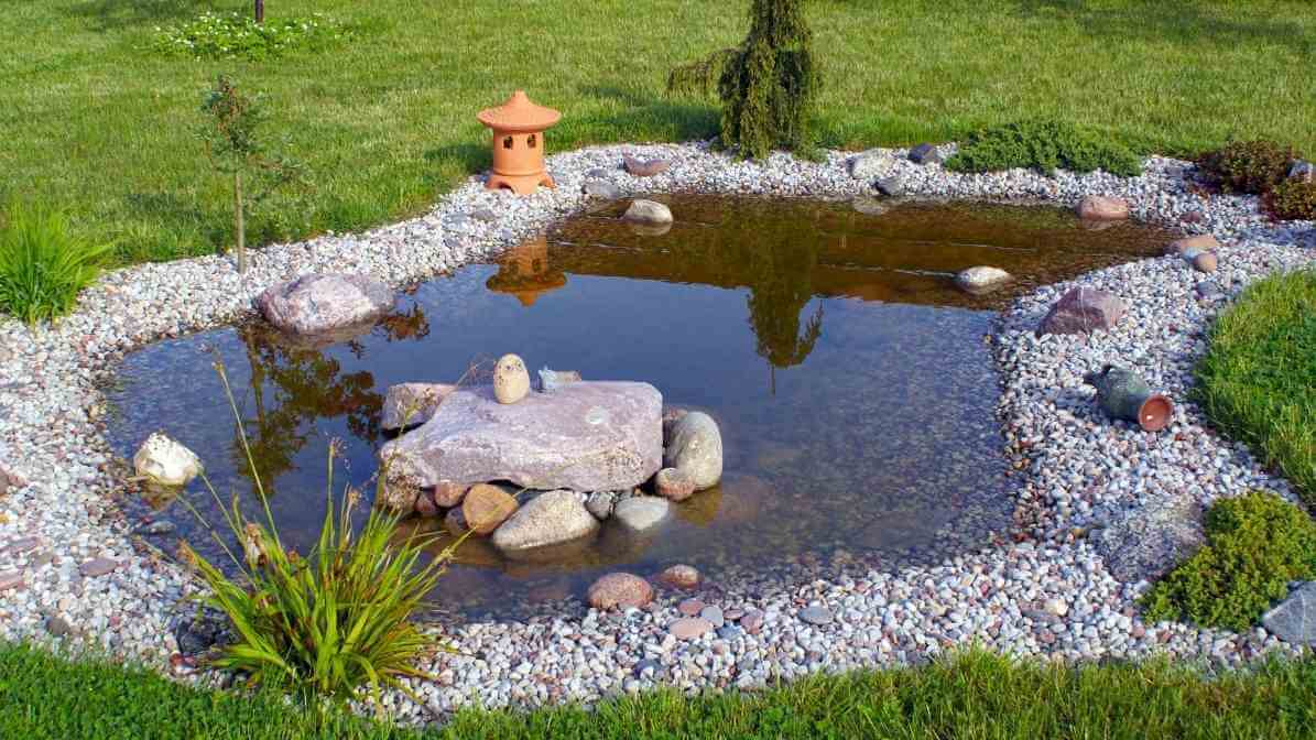 Crack the Mosquito Life Cycle with BTI Mosquito Treatment - Identify Mosquito Breeding Site