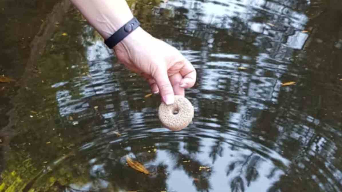 Crack the Mosquito Life Cycle with BTI Mosquito Treatment - Proper Dosage