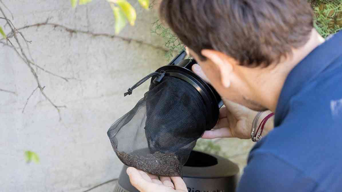 Difference Between Midges and Mosquito Effective Solutions - Mosquito Traps
