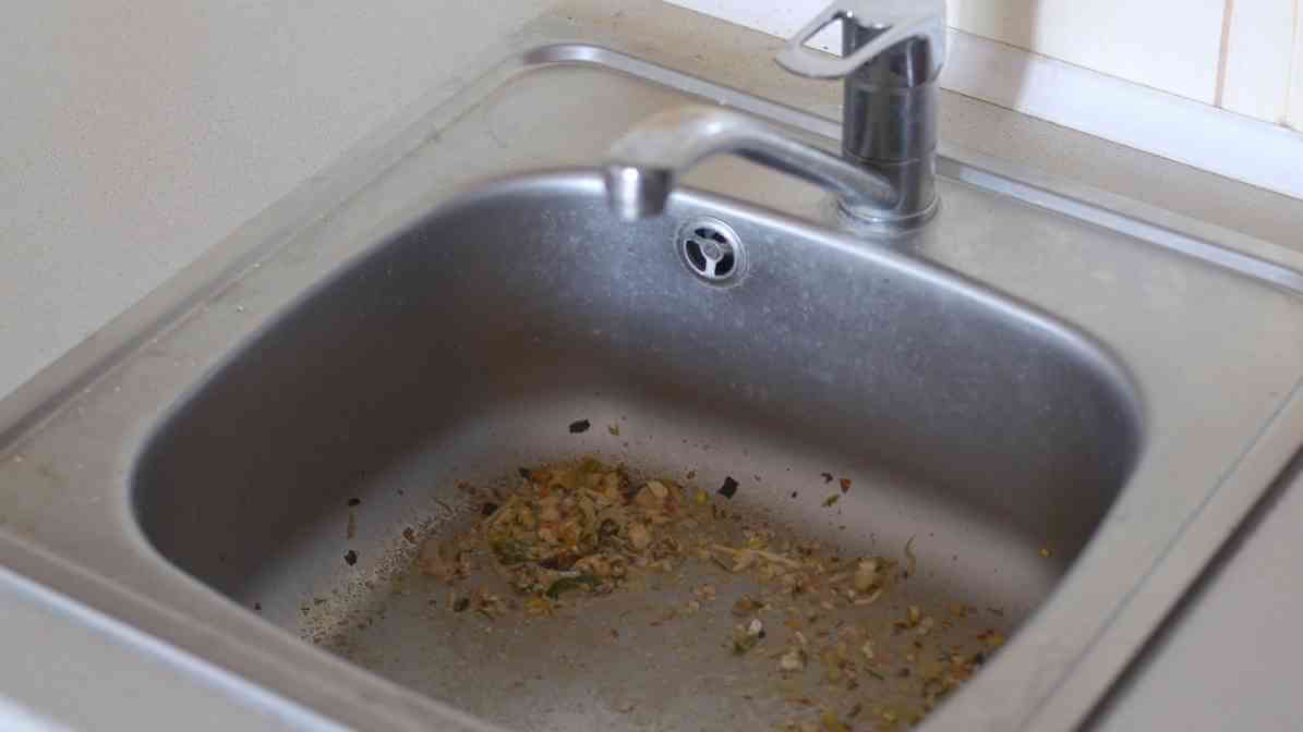 Drain Flies DIY Remedy for Homeowners and Businesses - Decaying Organic Matter