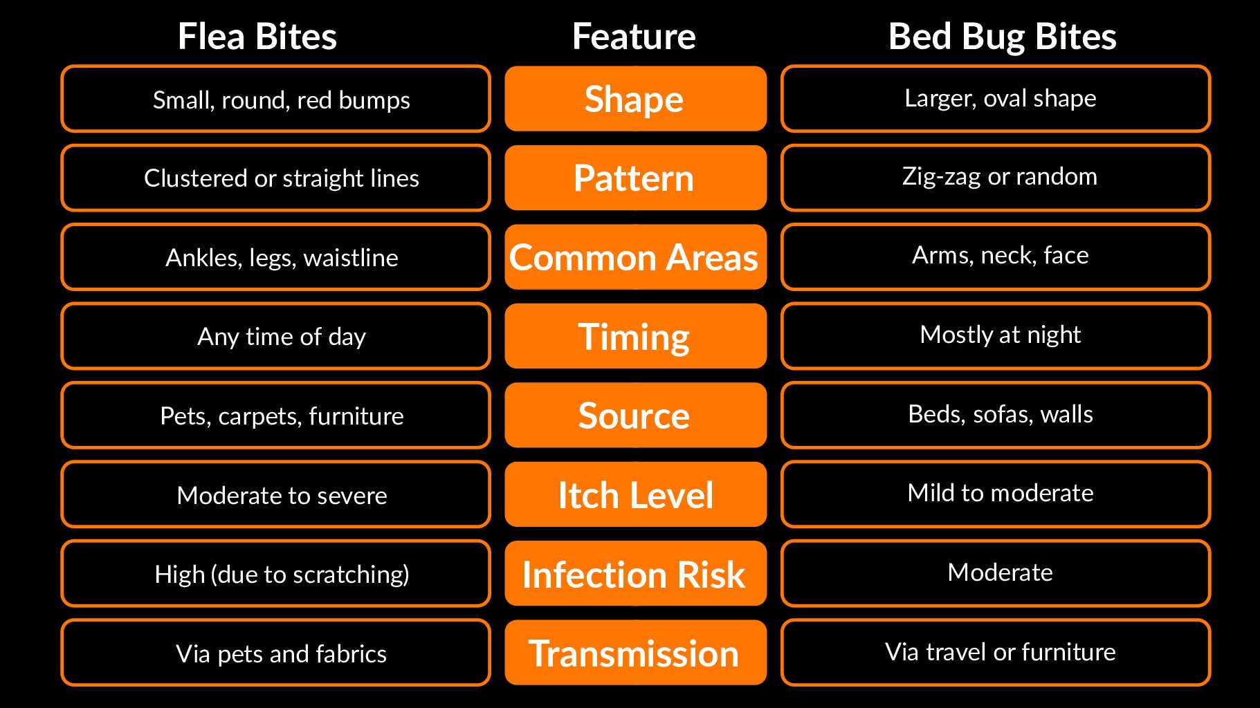 Flea Bites vs Bed Bug Surprising Truth - Innovative Pest Pte Ltd