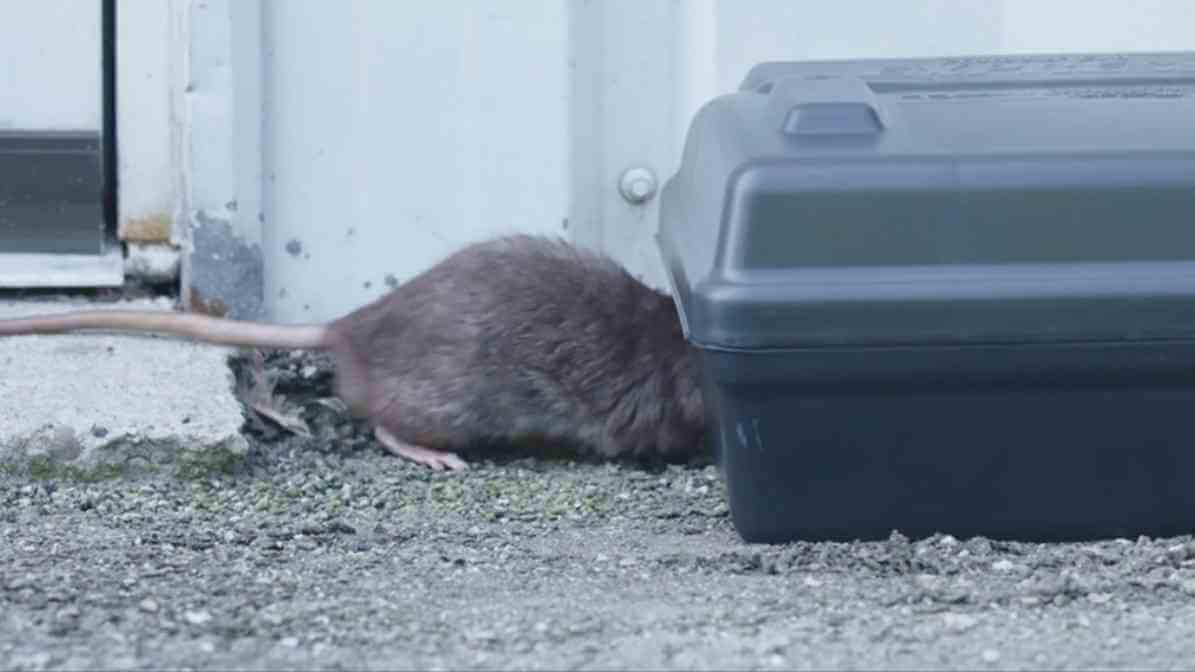 InnoTrap Precision Sensor Best Rodent Trapper Technology - IoT Rodent Sensor - Innovative Pest Pte Ltd
