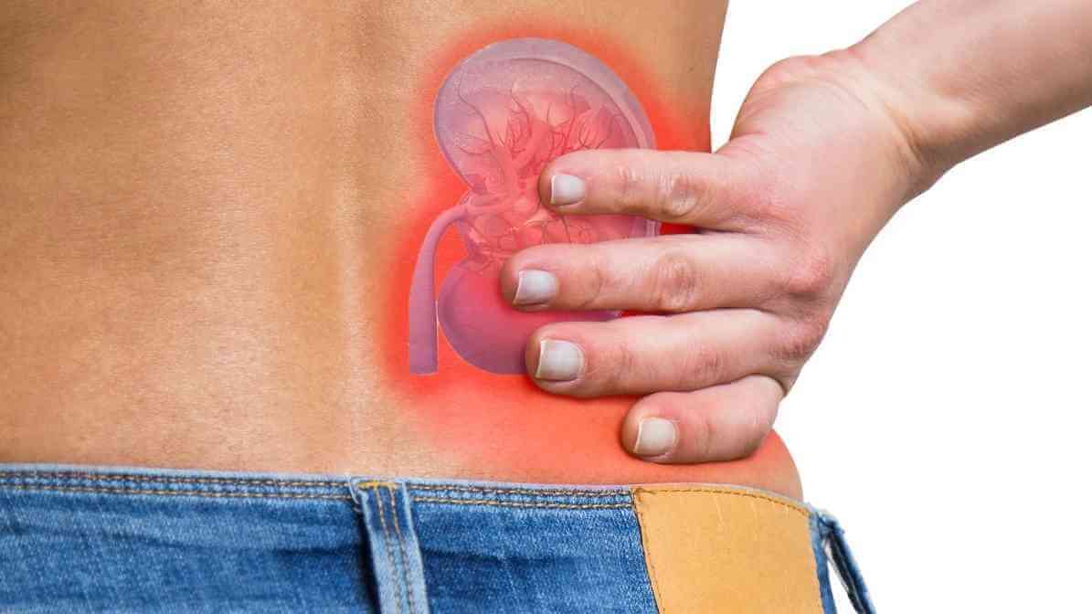 Is Rat Bite Dangerous to Human Leptospirosis - Innovative Pest Pte Ltd Is Rat Bite Dangerous to Human Leptospirosis