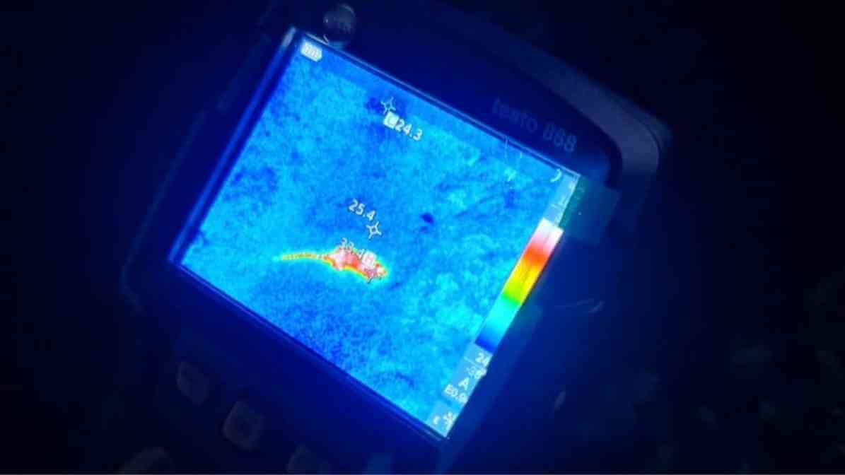 Smart Pest Control With InnoHeat Thermal Vision Technology - Rodent Activity