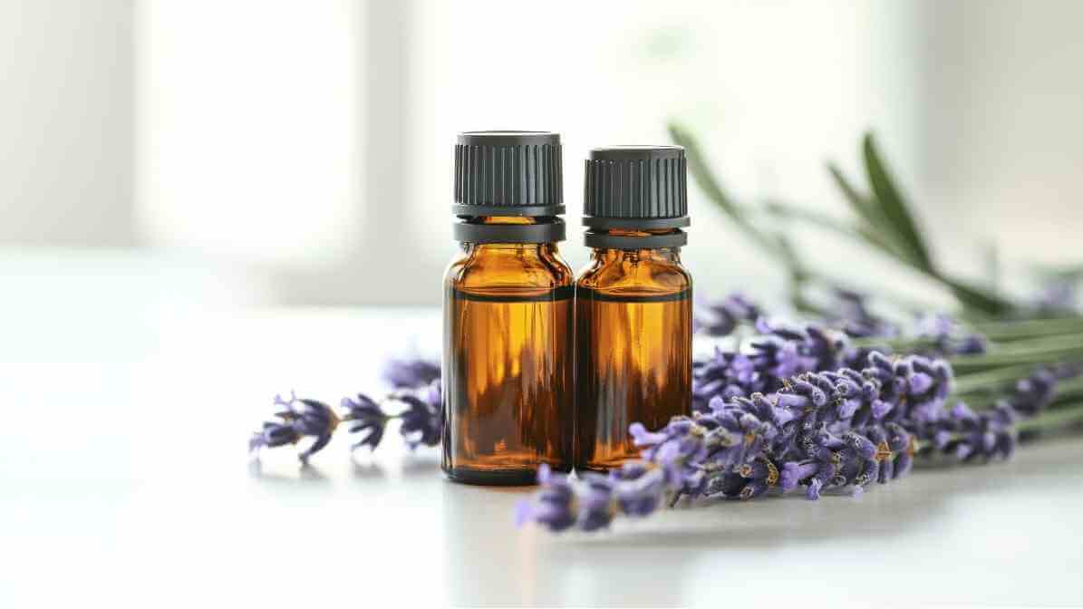 The Expert Guide to Prevent Mosquito Breeding and Bites - Lavender Essential OIl - Innovative Pest Pte Ltd The Expert Guide to Prevent Mosquito Breeding and Bites - Lavender Essential OIl
