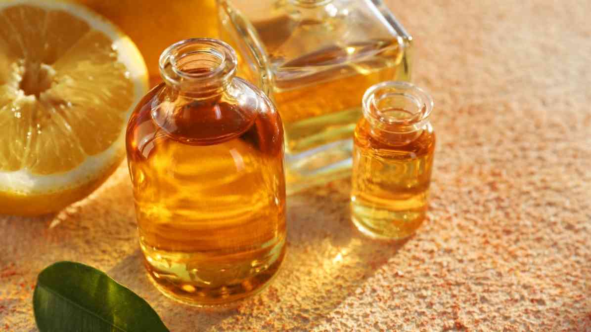 The Expert Guide to Prevent Mosquito Breeding and Bites - Lemon Eucalyptus - Innovative Pest Pte Ltd The Expert Guide to Prevent Mosquito Breeding and Bites - Lemon Eucalyptus