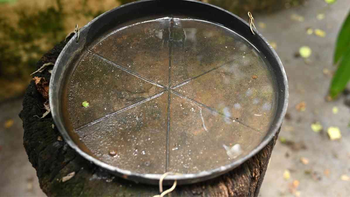 The Expert Guide to Prevent Mosquito Breeding and Bites - Standing Water - Innovative Pest Pte Ltd