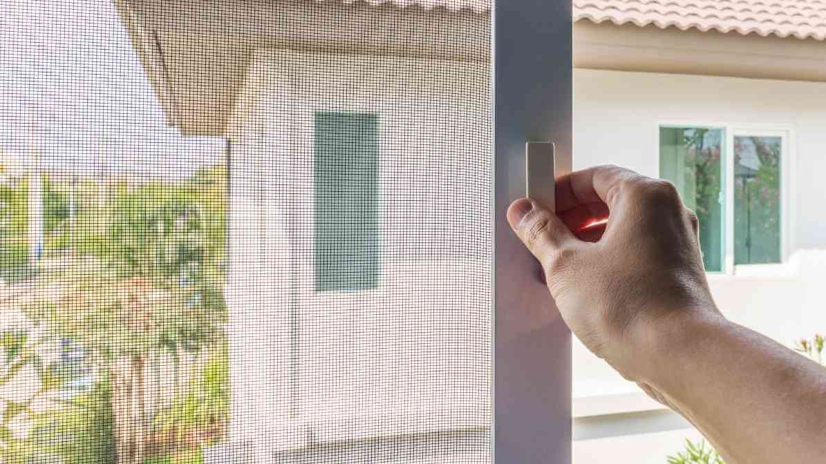 The Expert Guide to Prevent Mosquito Breeding and Bites - Window Screens - Innovative Pest Pte Ltd The Expert Guide to Prevent Mosquito Breeding and Bites - Window Screens