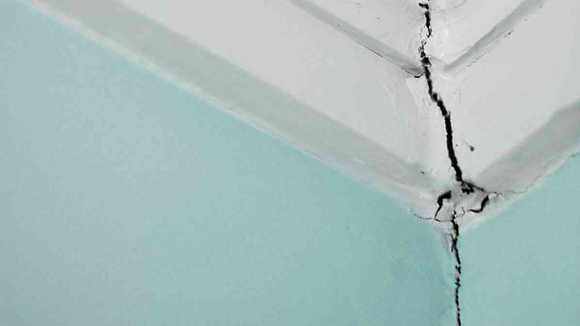 How to Prevent Pest in Your Home - Block All Entry Points