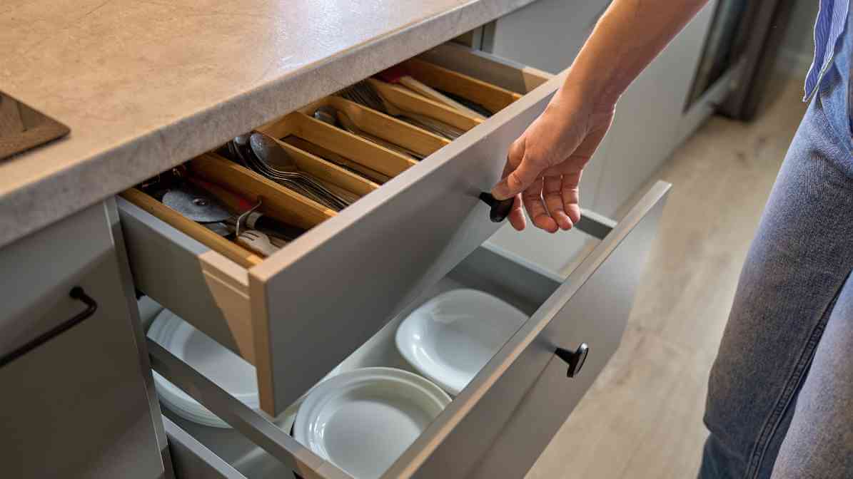 How to Prevent Pest in Your Home - Inspect Regularly