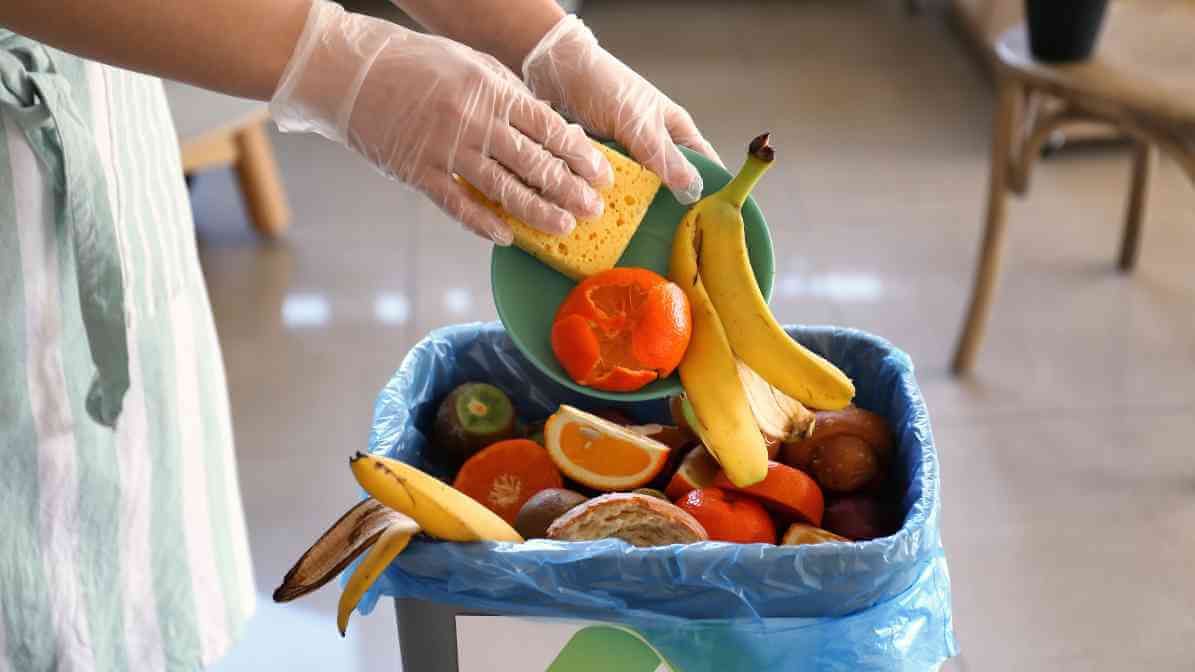 How to Prevent Pest in Your Home - Manage Waste Properly