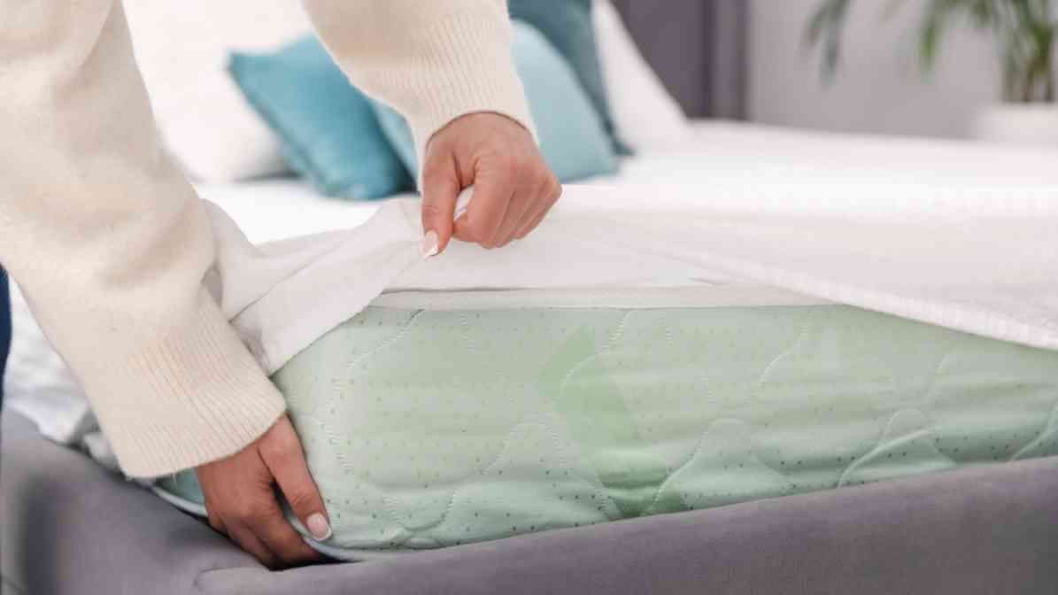 How to Prevent Pest in Your Home - Mattress Encasement for Bed Bugs