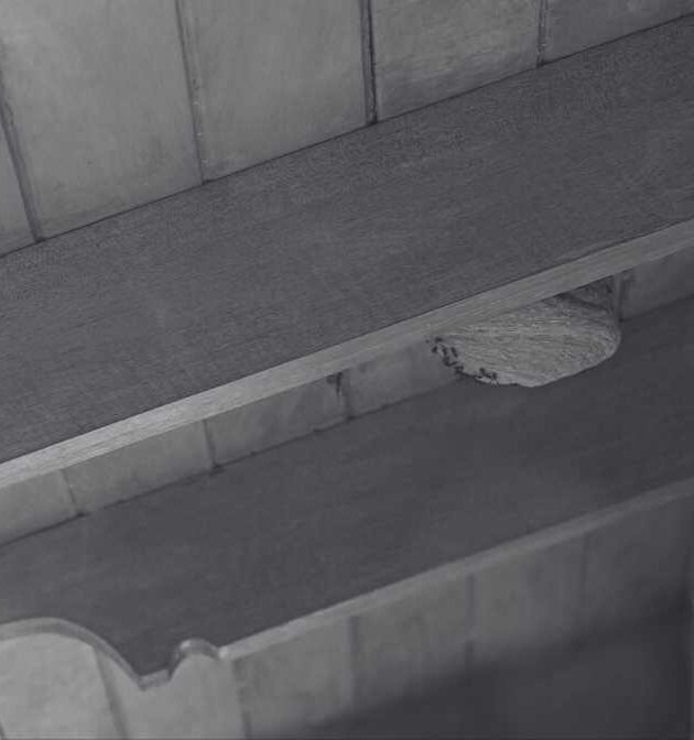 Massive Hornets Nest on Roof Sparks Panic in Singapore