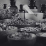 Natural Flea and Tick Prevention Home Remedies That Work